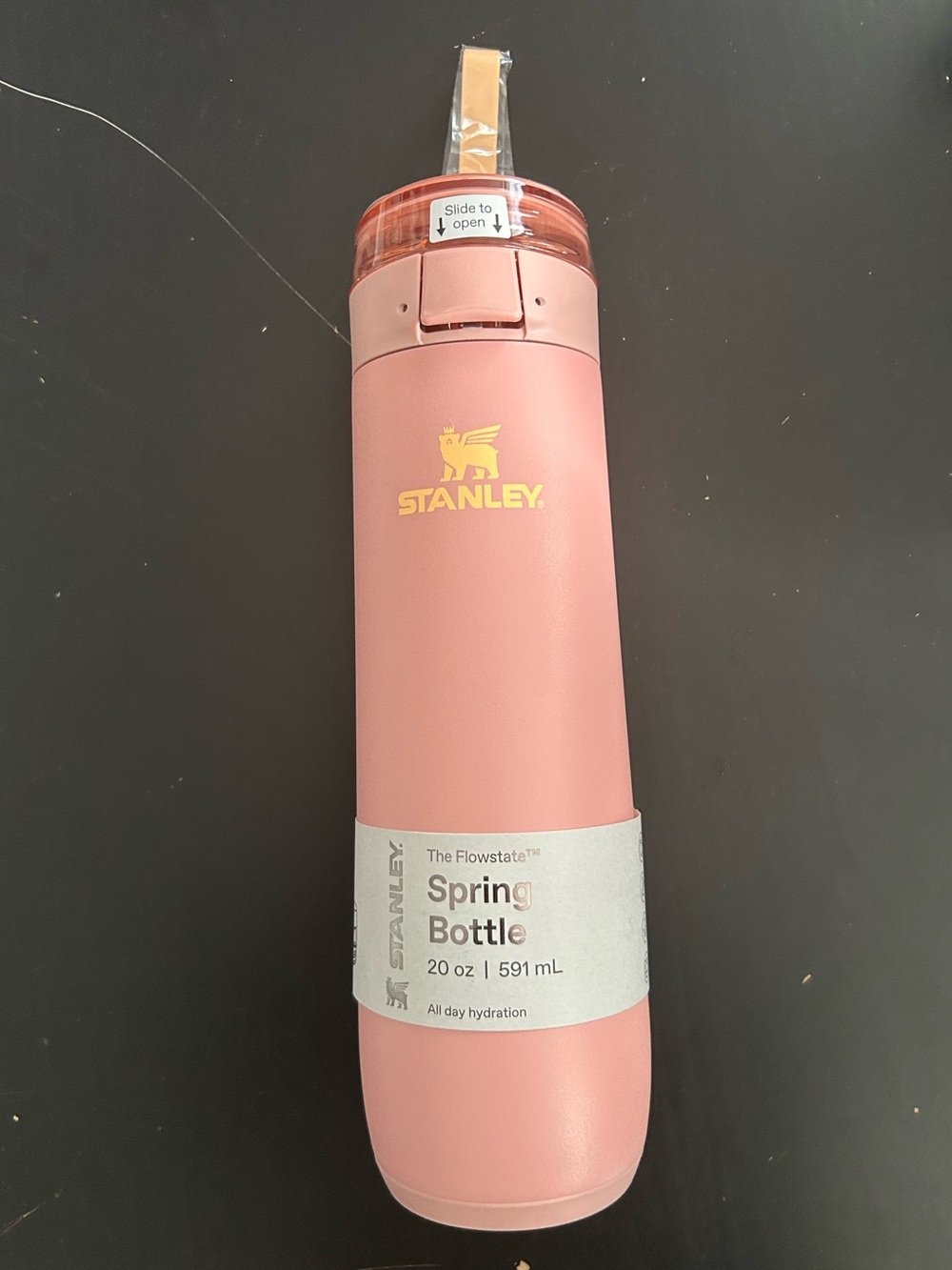 BNB Stanley Peach Rose Spring Bottle Tumbler